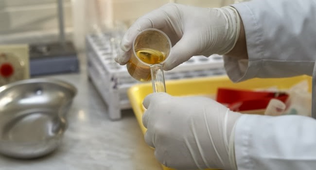 Synthetic Urine Starship Adna WA 98522